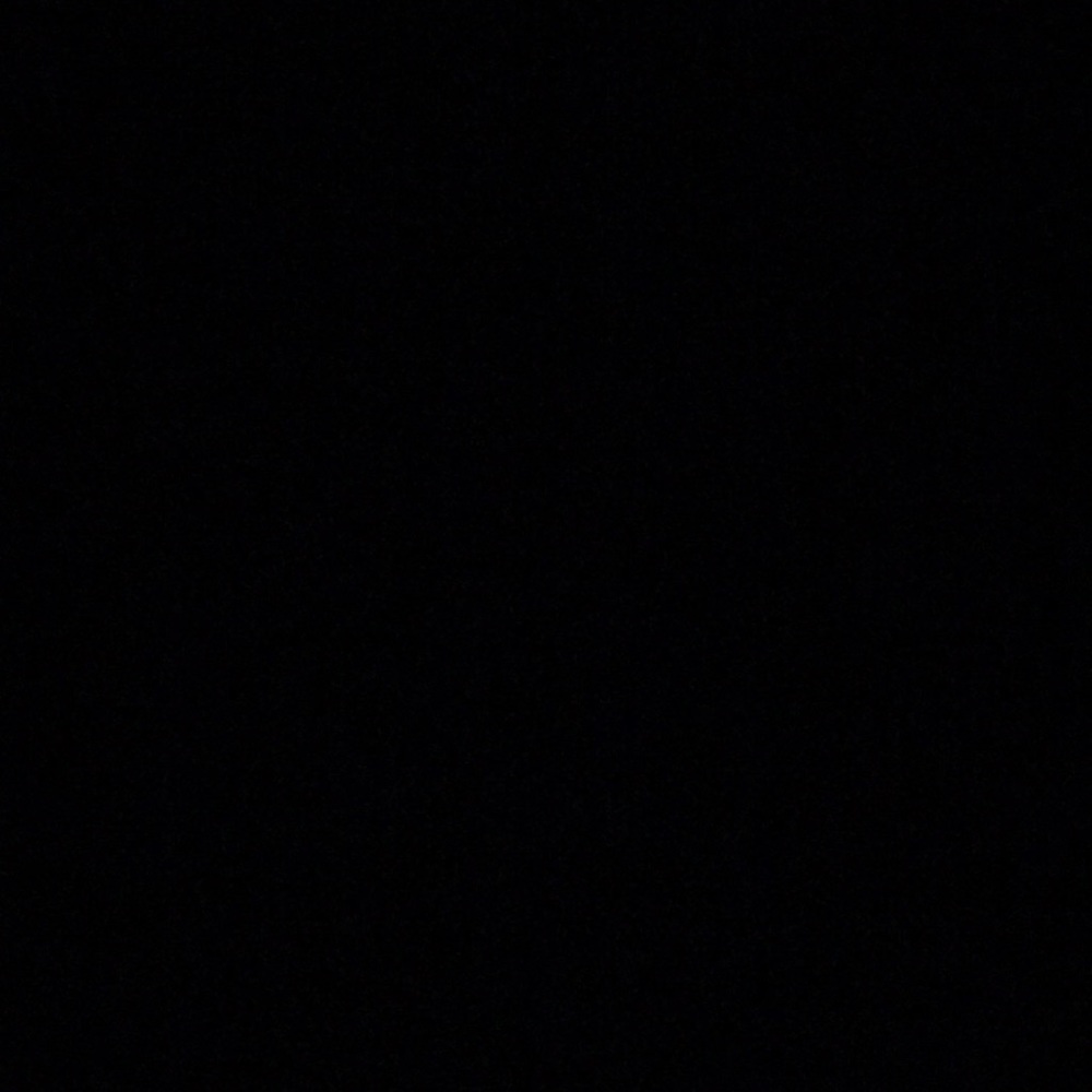 Meet your Posher, Isabella